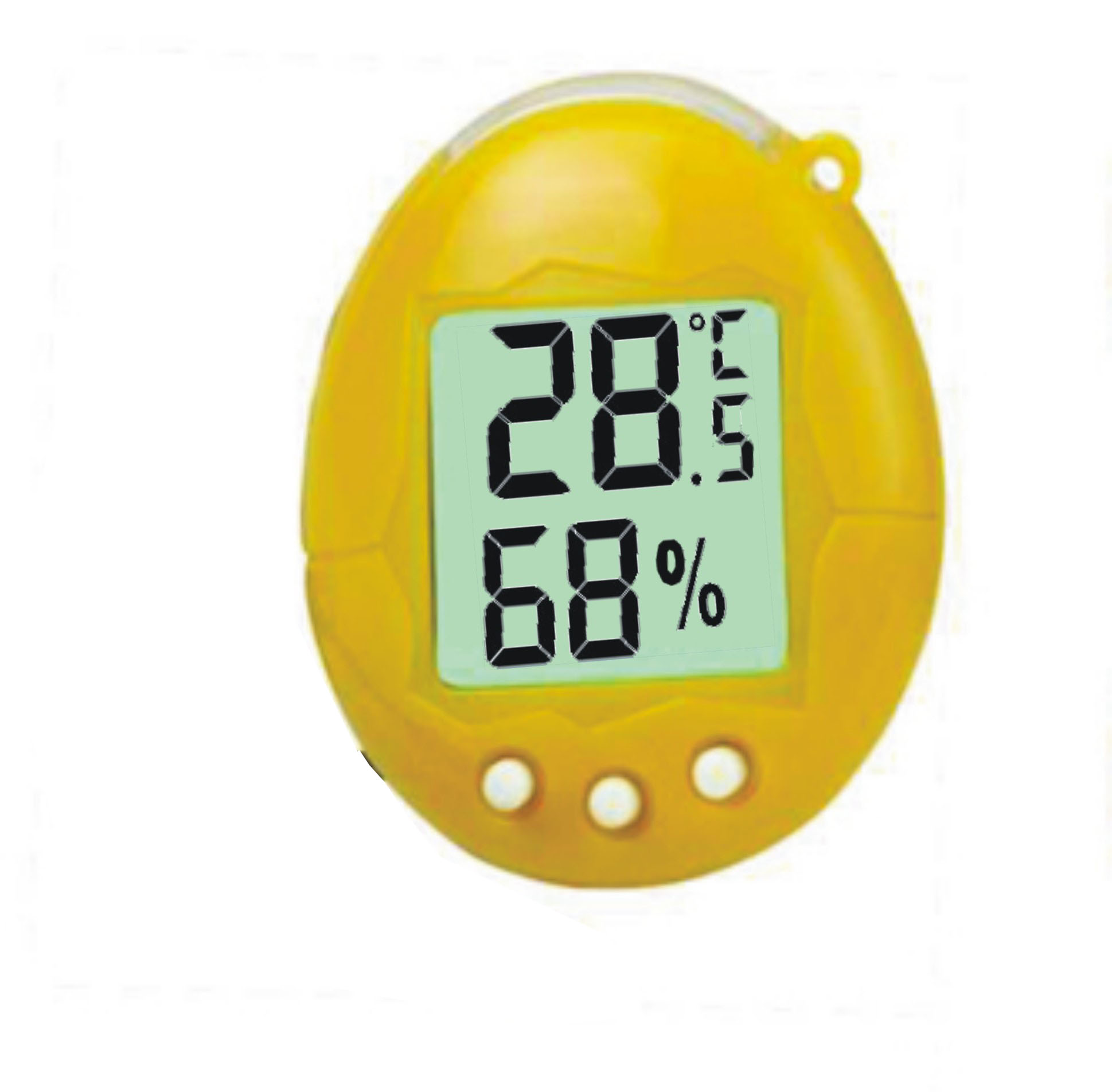 Digital thermometer & hygrometer,Others